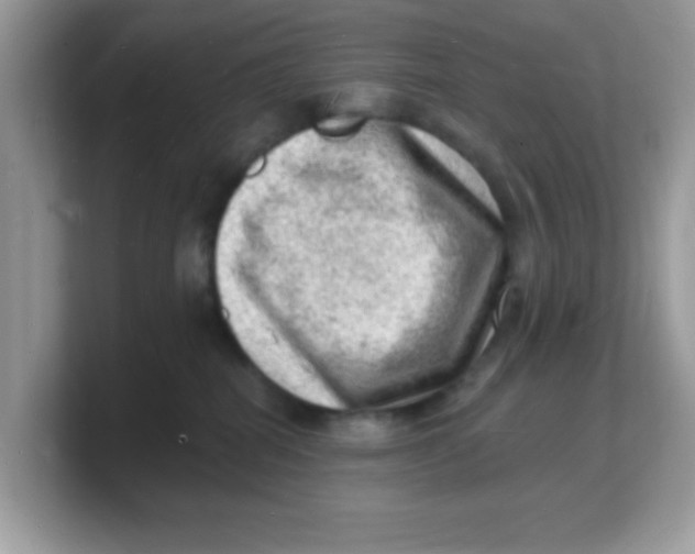 X0000103240282200809181550