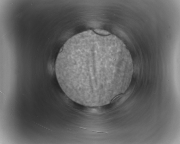 X0000103240285200809181550