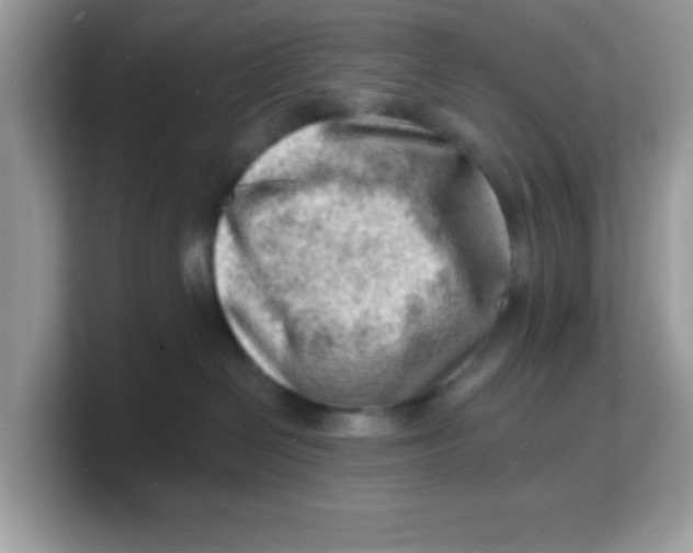 X0000103240286200809181550