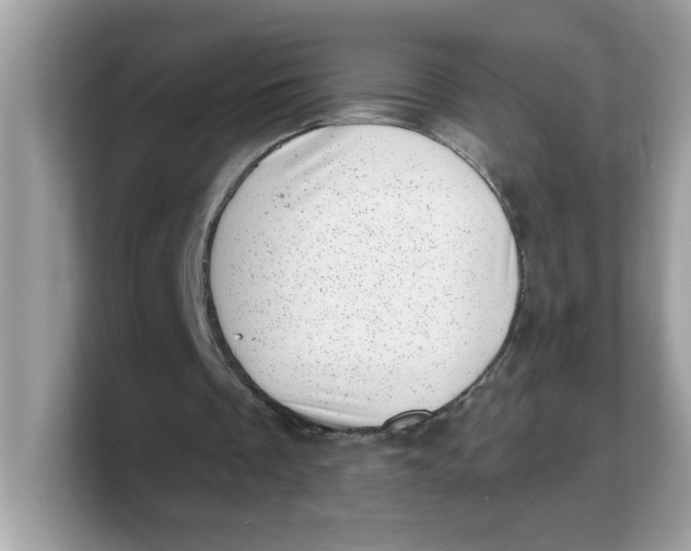 X0000103240289200809181549