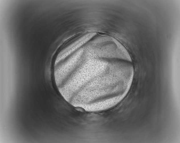 X0000103240290200809181549