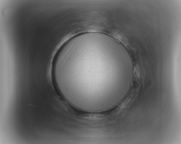 X0000103240292200809181549