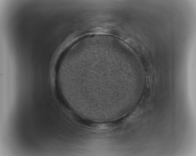 X0000103240295200809181549