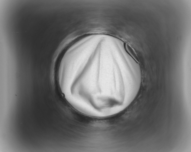 X0000103240296200809181549