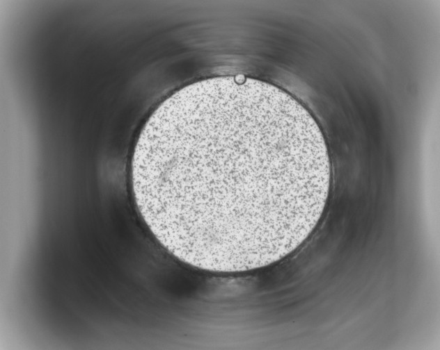 X0000103240297200809181549