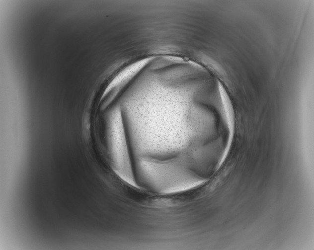 X0000103240298200809181549