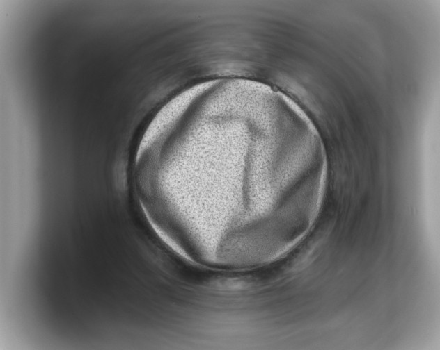 X0000103240299200809181549