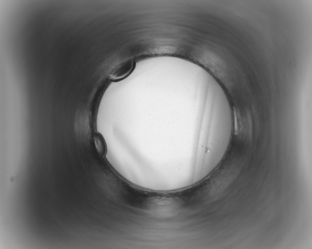 X0000103240300200809181549