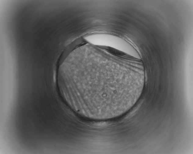 X0000103240301200809181549