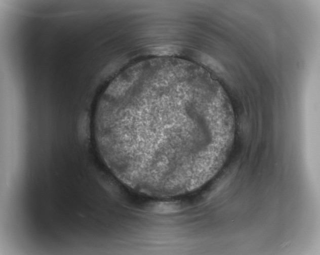 X0000103240303200809181549