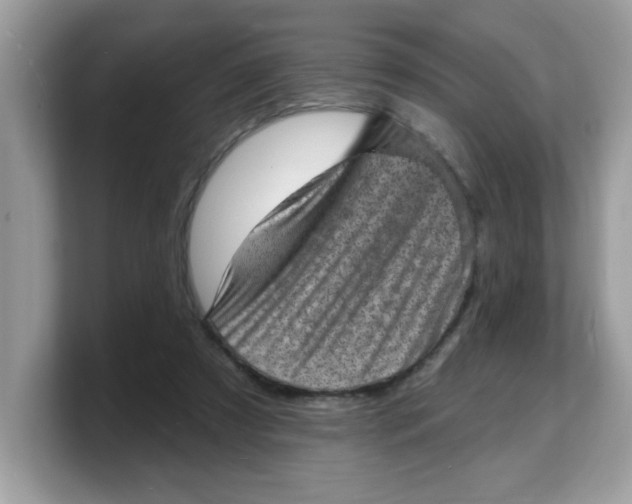 X0000103240305200809181549