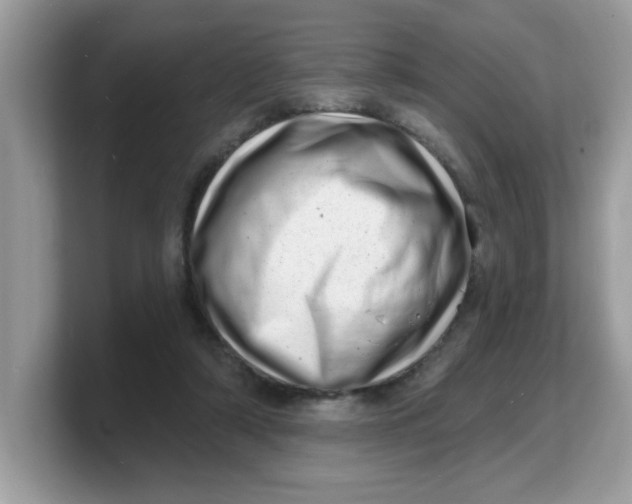 X0000103240306200809181549