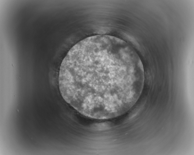 X0000103240307200809181549