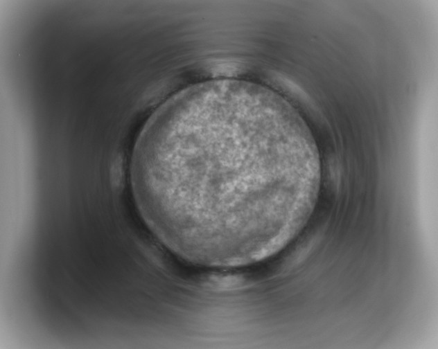 X0000103240311200809181549