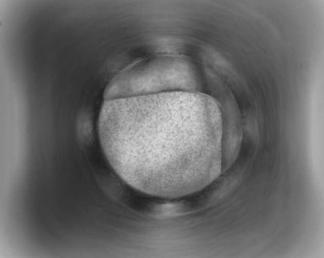 X0000103240312200809181549