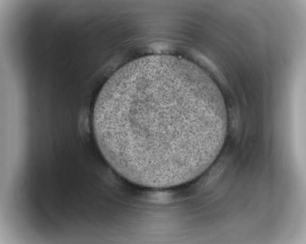 X0000103240313200809181549