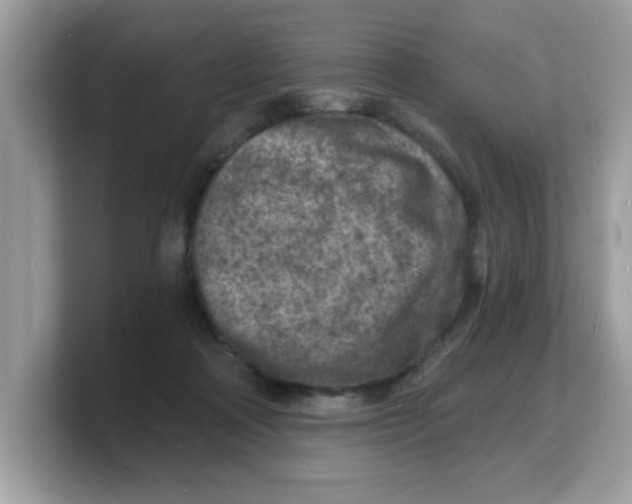 X0000103240314200809181549