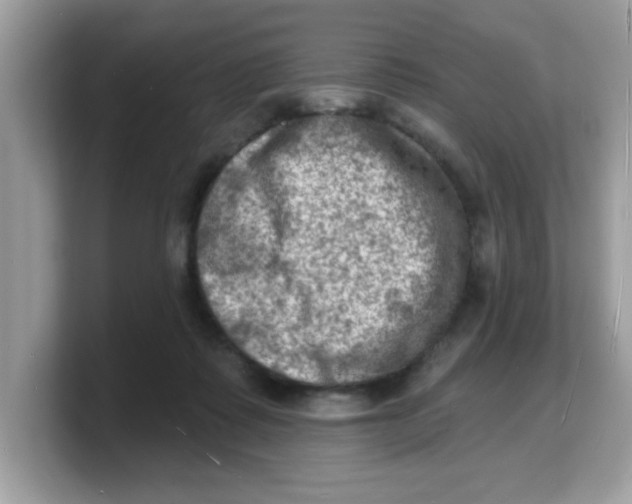 X0000103240315200809181549