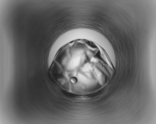 X0000103240316200809181549