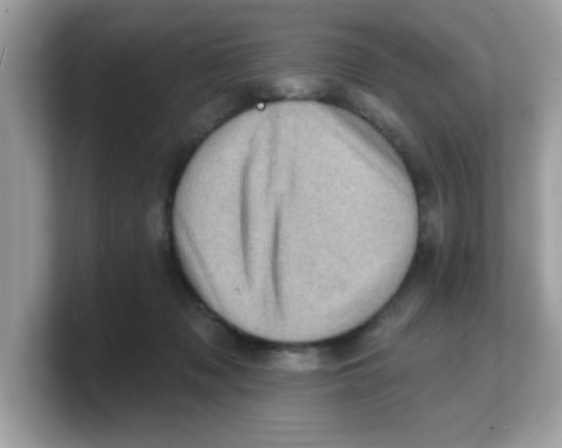 X0000103240317200809181549