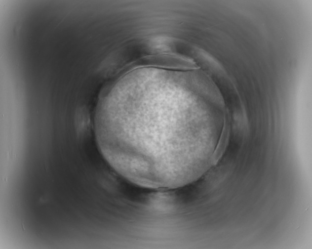 X0000103240320200809181549