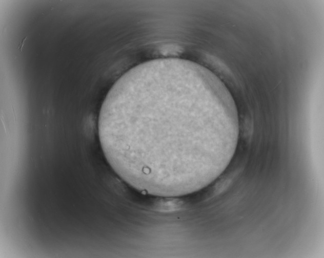 X0000103240321200809181549