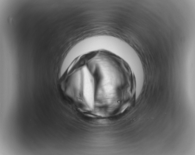 X0000103240324200809181549