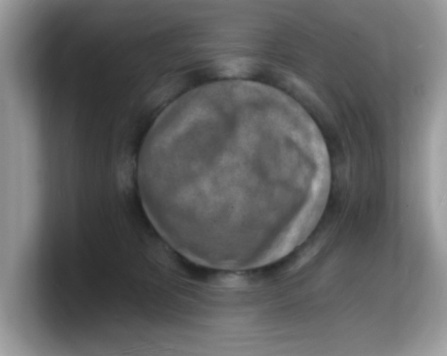 X0000103240325200809181549