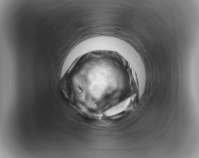 X0000103240328200809181549