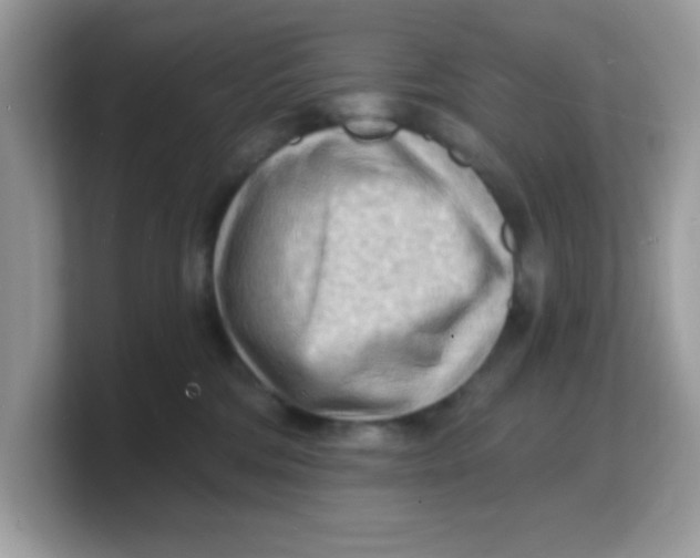 X0000103240330200809181549