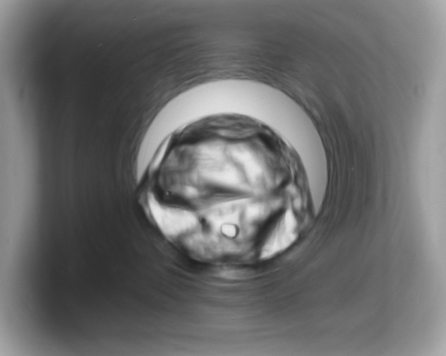 X0000103240336200809181549