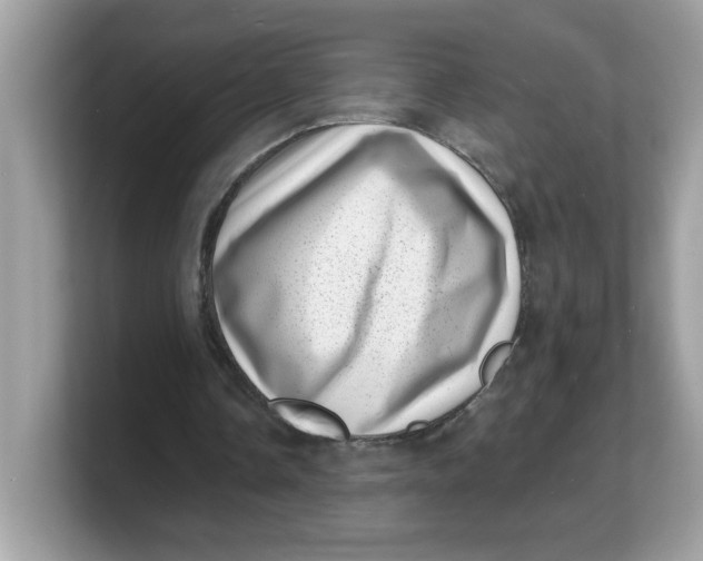 X0000103240338200809181548