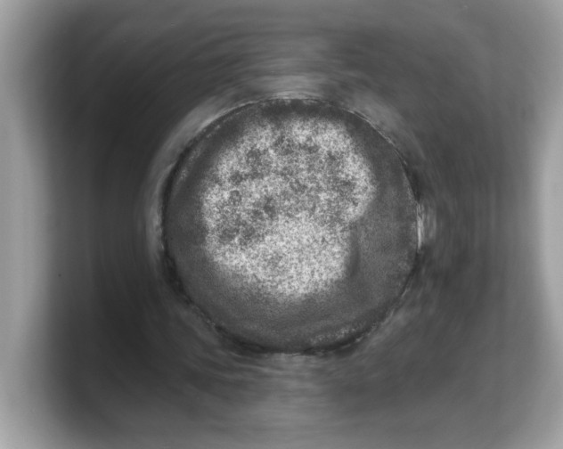 X0000103240339200809181548