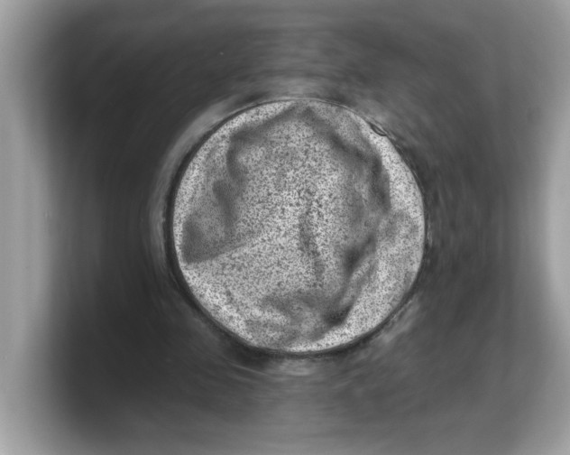 X0000103240341200809181548