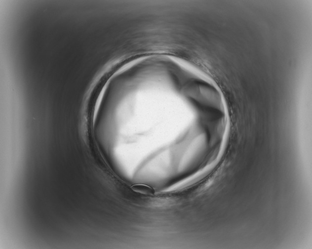 X0000103240342200809181548