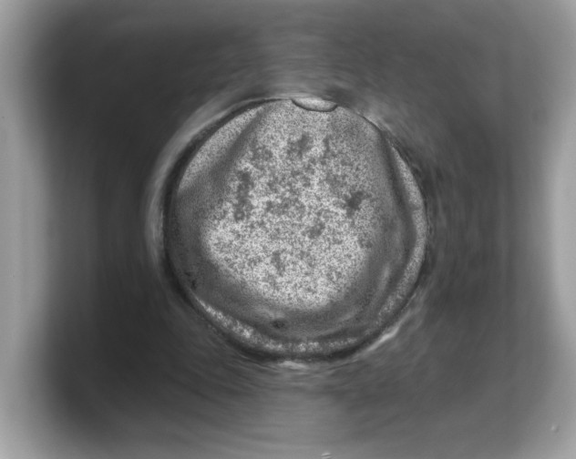 X0000103240343200809181548