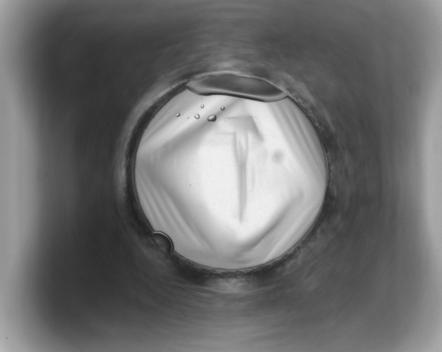 X0000103240344200809181548