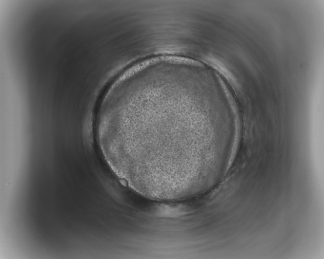 X0000103240346200809181548