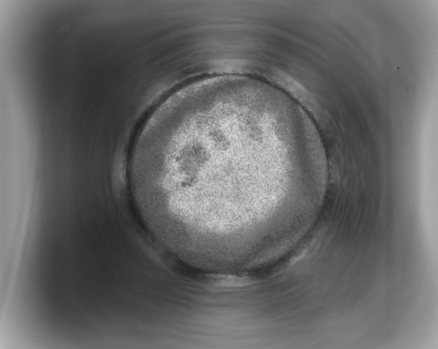 X0000103240347200809181548