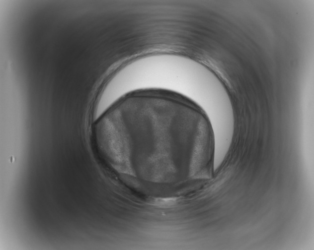 X0000103240348200809181548