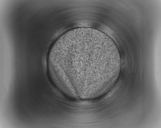 X0000103240349200809181548