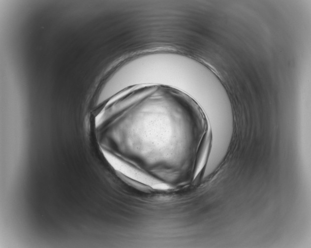 X0000103240350200809181548