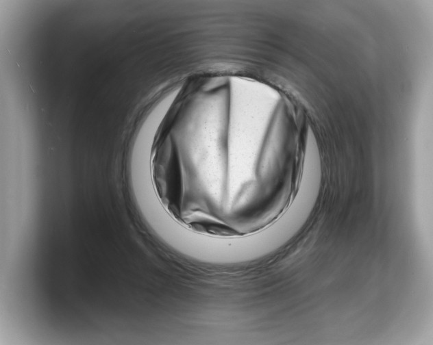 X0000103240352200809181548