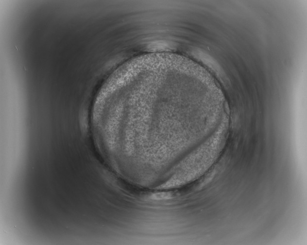 X0000103240353200809181548