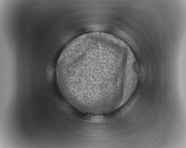 X0000103240355200809181548