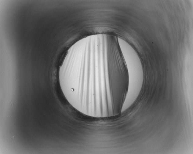 X0000103240356200809181548