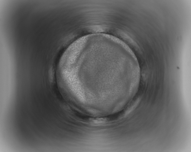 X0000103240359200809181548