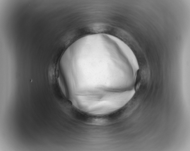 X0000103240360200809181548