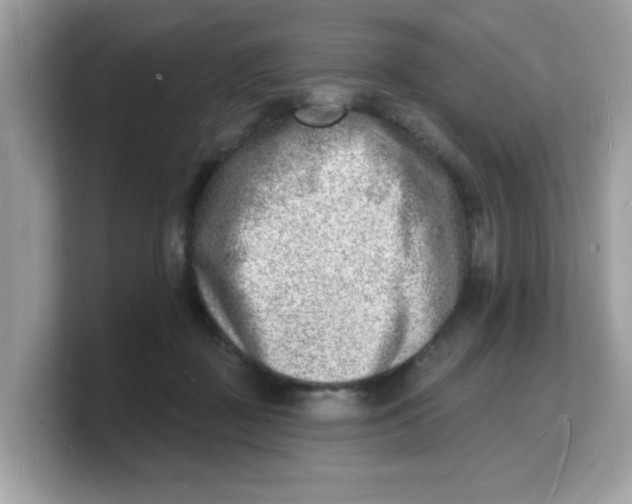 X0000103240363200809181548