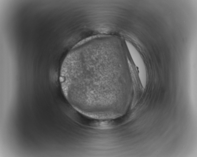 X0000103240365200809181549